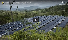 Will Green Growth Save Puerto Rico